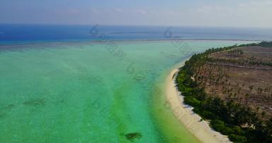 清晰的翡翠<strong>水周</strong>围白色沙子海滩棕榈树接壤岛的农场土地巴厘岛印尼